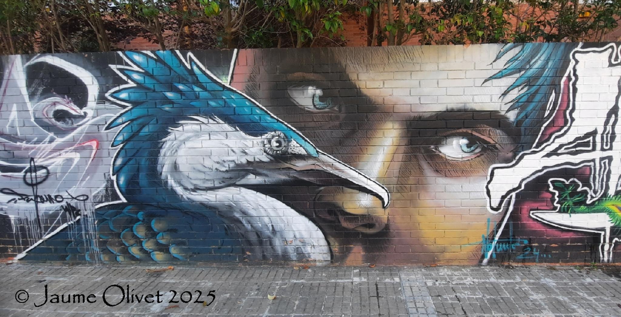 © Jaume Olivet 2025