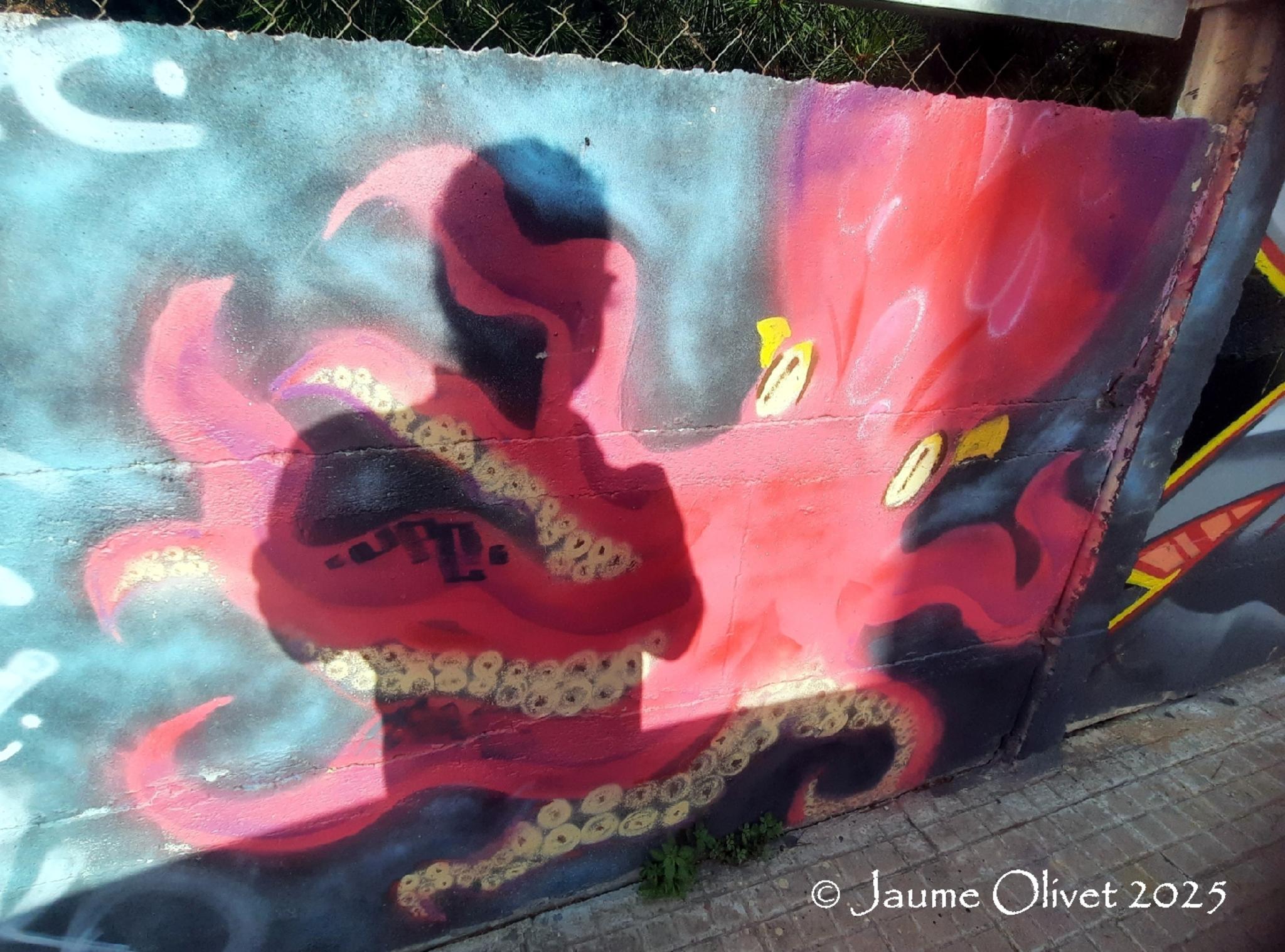 © Jaume Olivet 2025