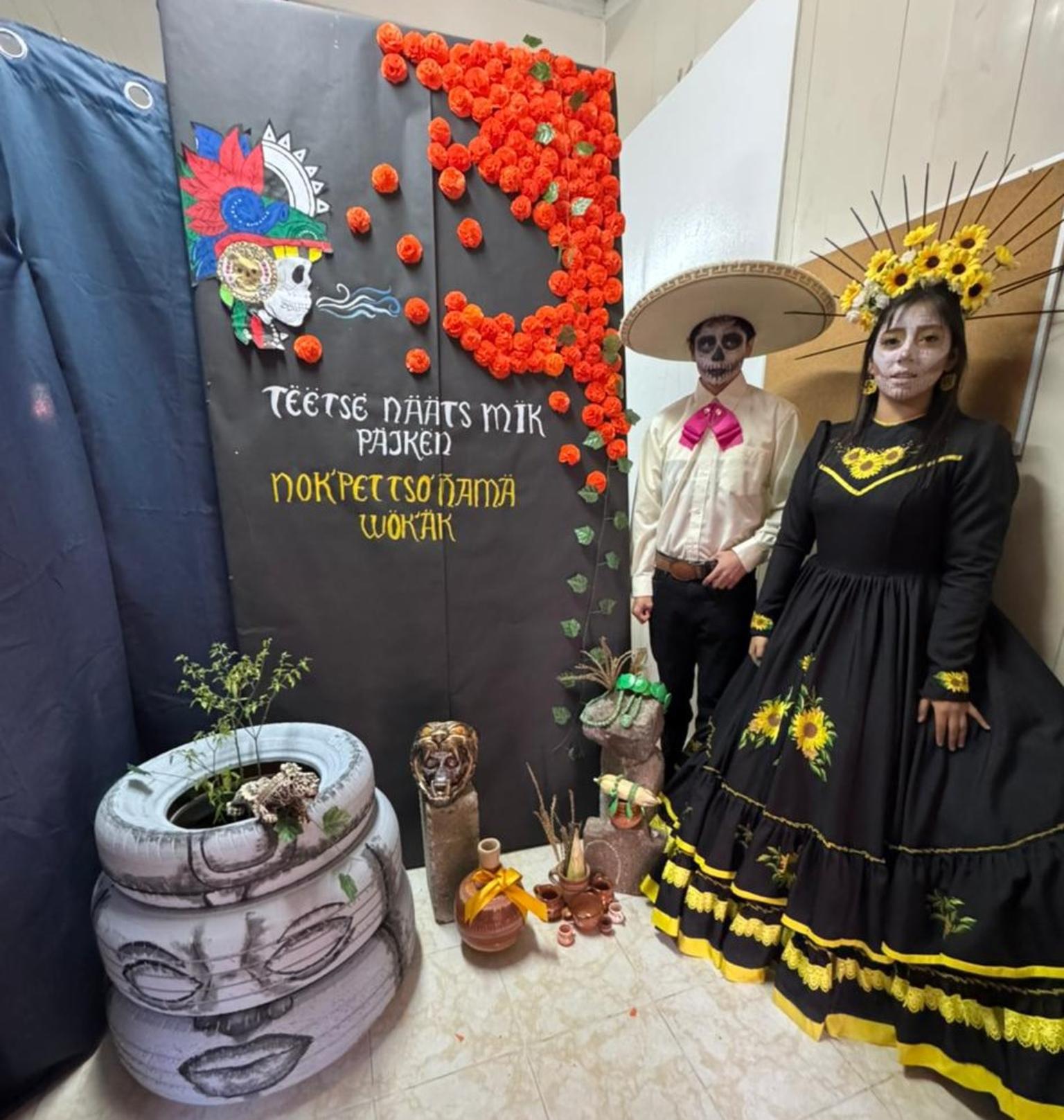 © Montse Olivet 2025