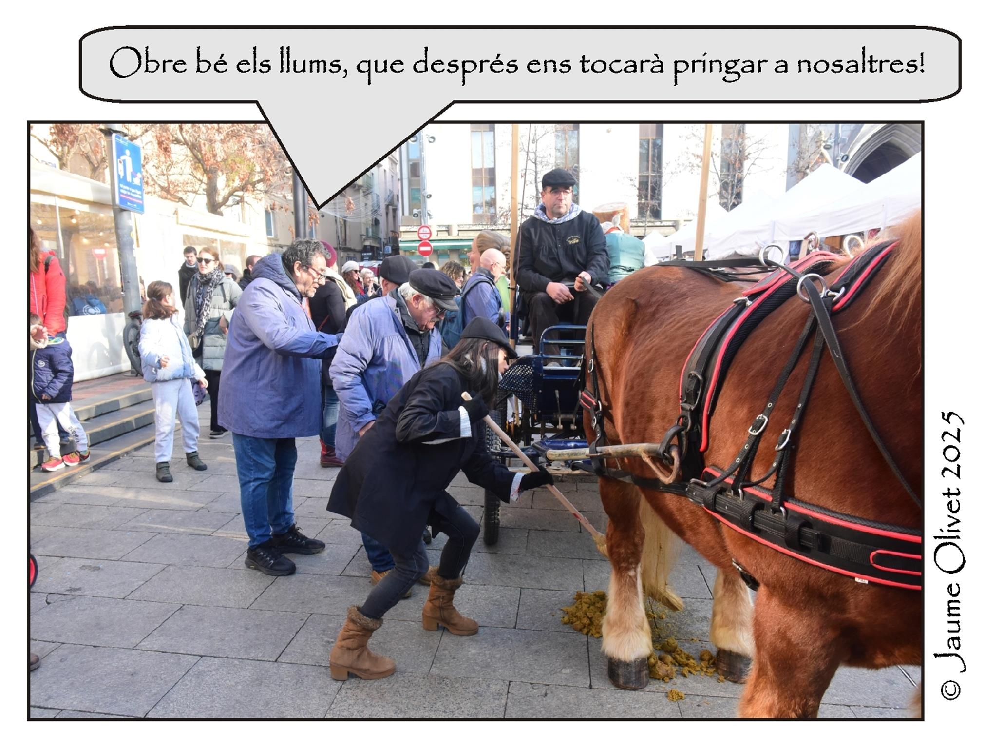 � Jaume Olivet 2025