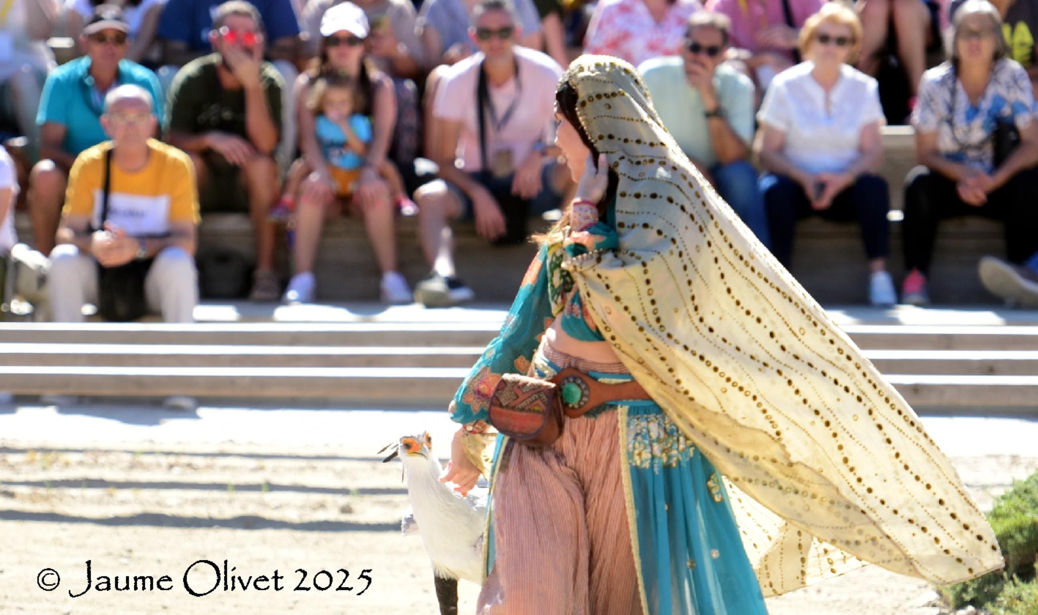 Jaume Olivet 2025