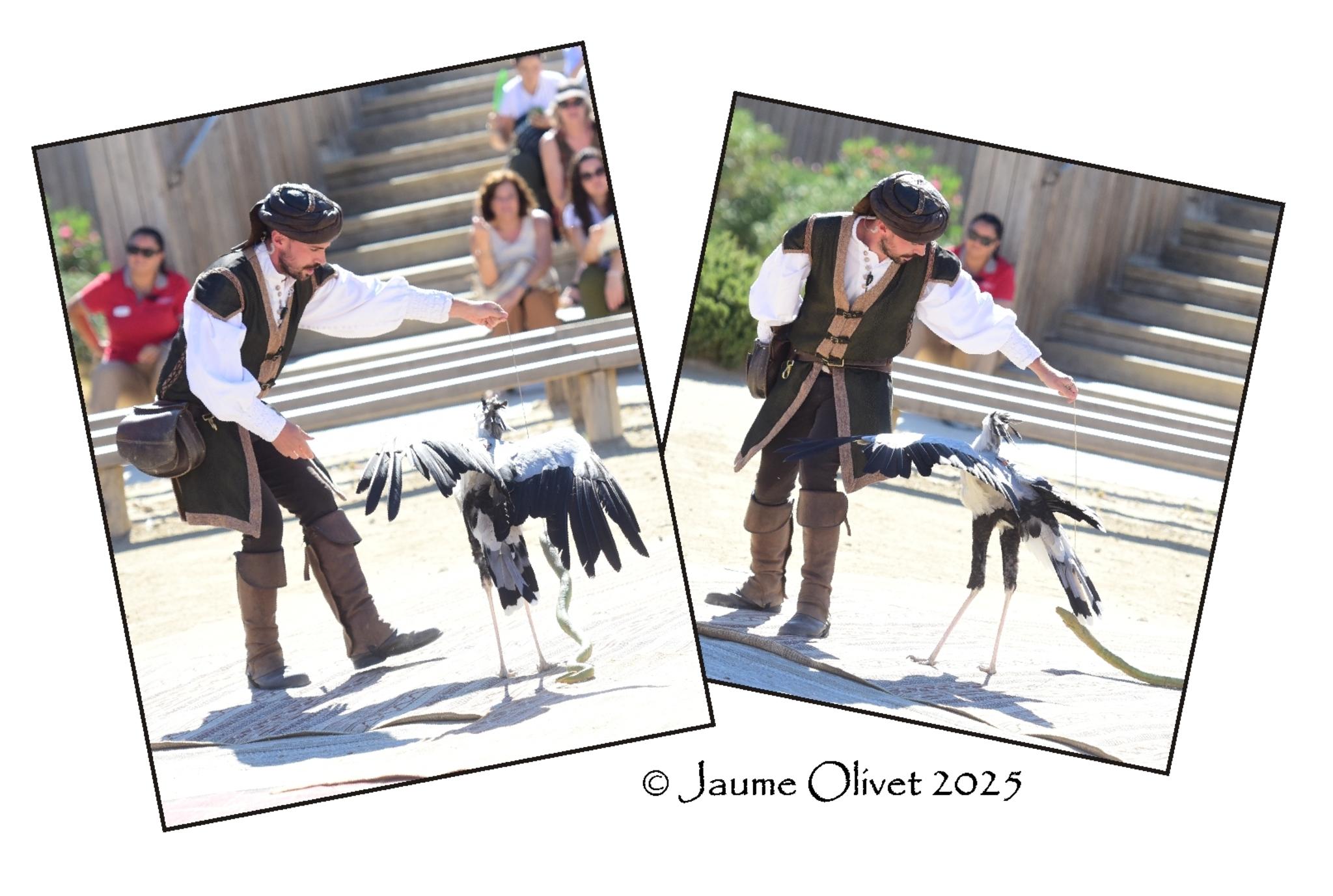  Jaume Olivet 2025