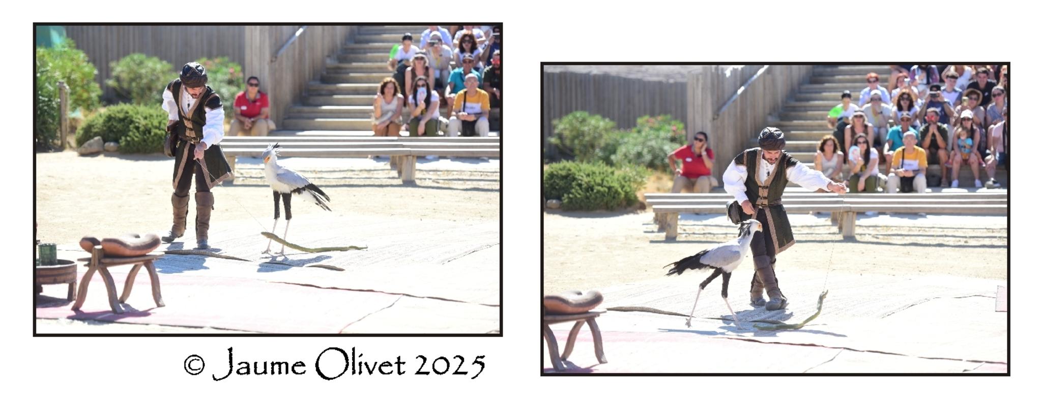  Jaume Olivet 2025