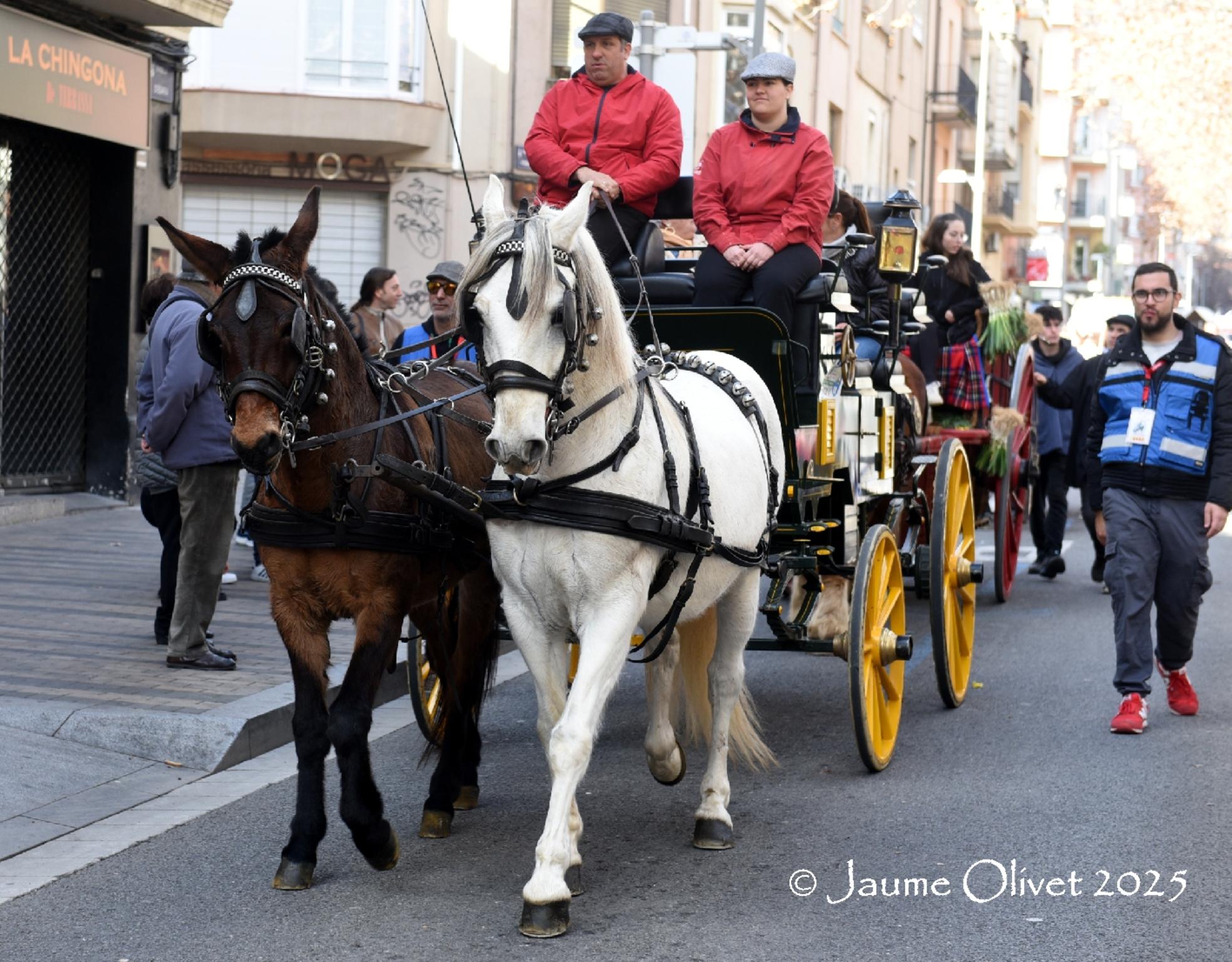  Jaume Olivet 2025
