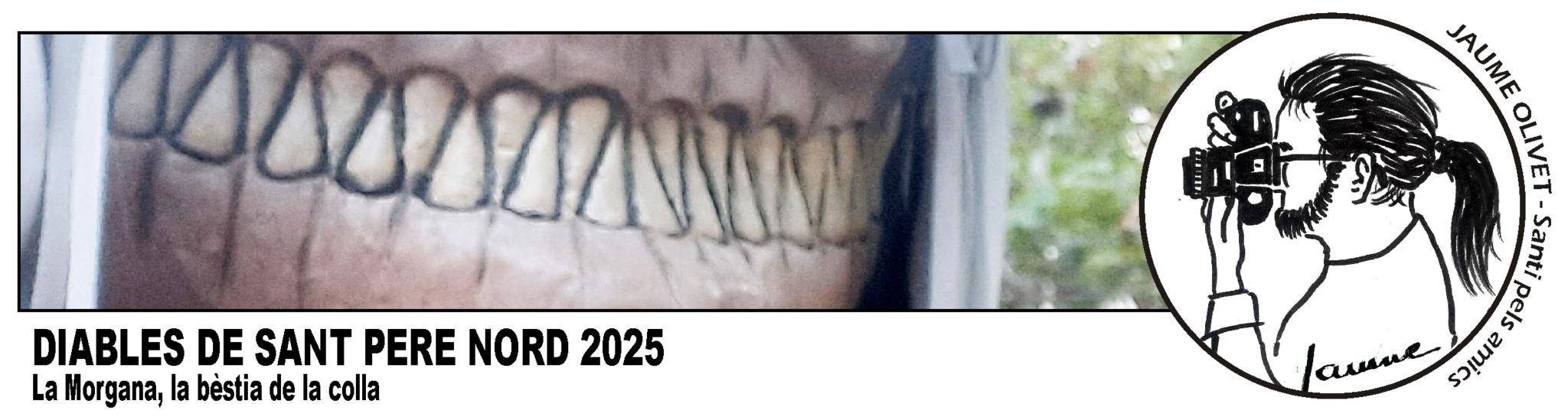 © Jaume Olivet 2025