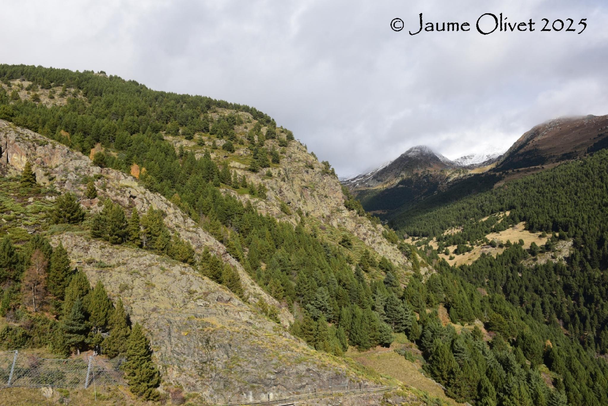 © Jaume Olivet 2025