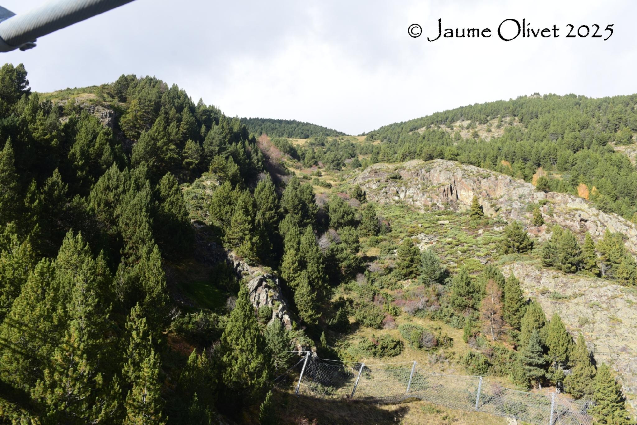 © Jaume Olivet 2025