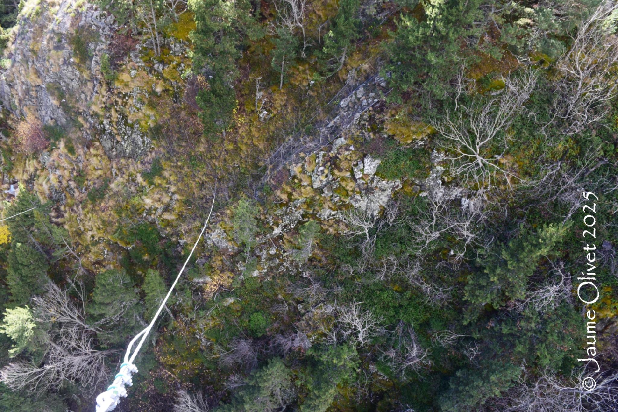 © Jaume Olivet 2025