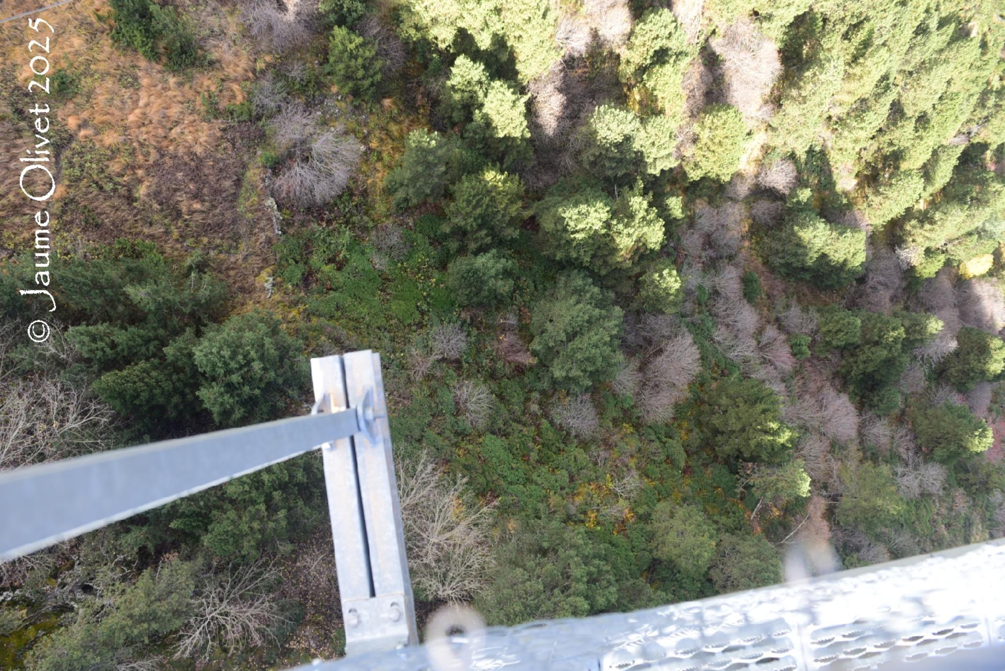 © Jaume Olivet 2025