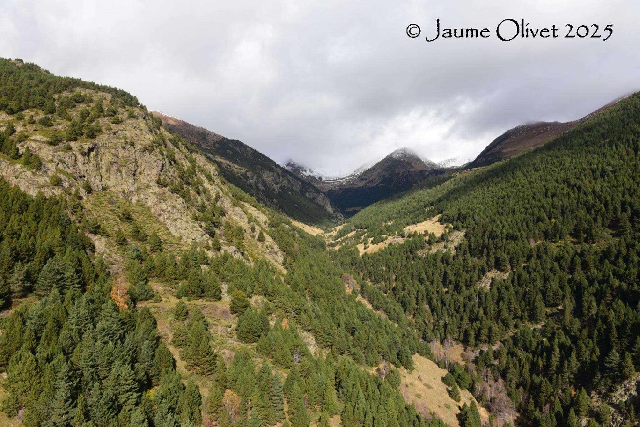 © Jaume Olivet 2025