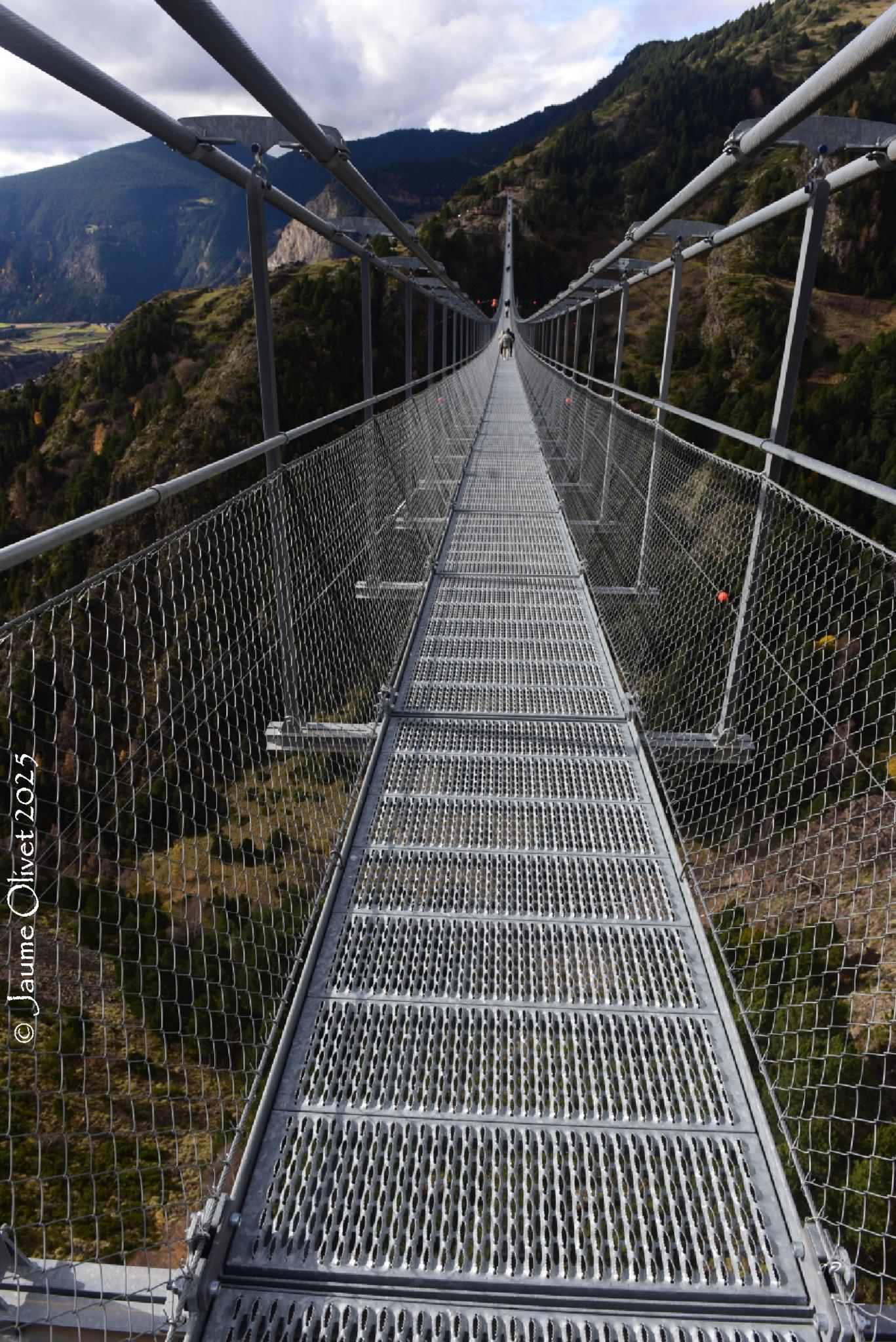 © Jaume Olivet 2025