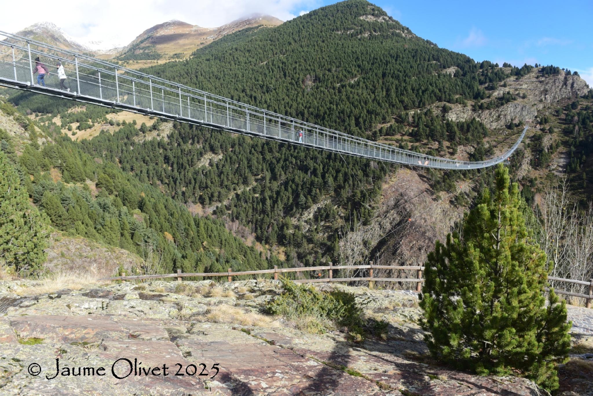 © Jaume Olivet 2025