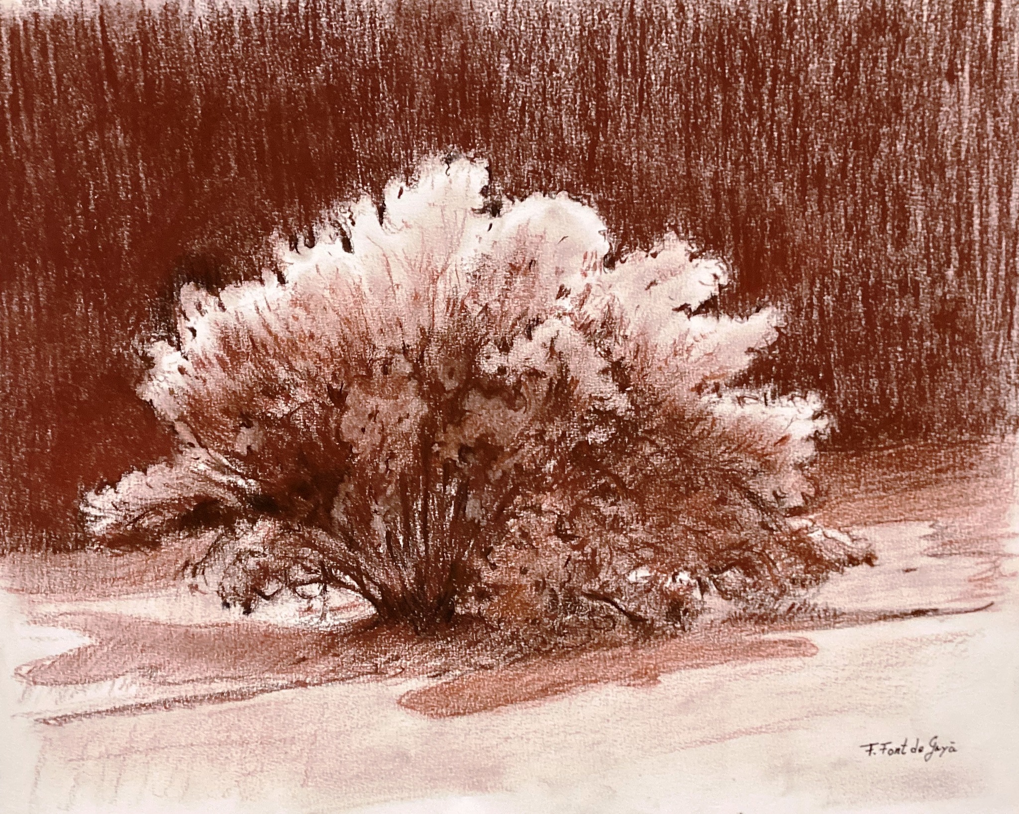 � Fernando Font de Gay� 2026