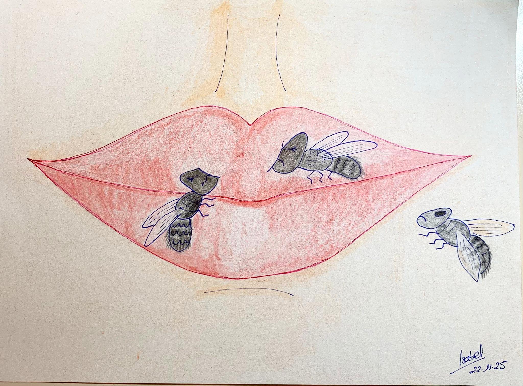 � Isabel Rodriguez 2026