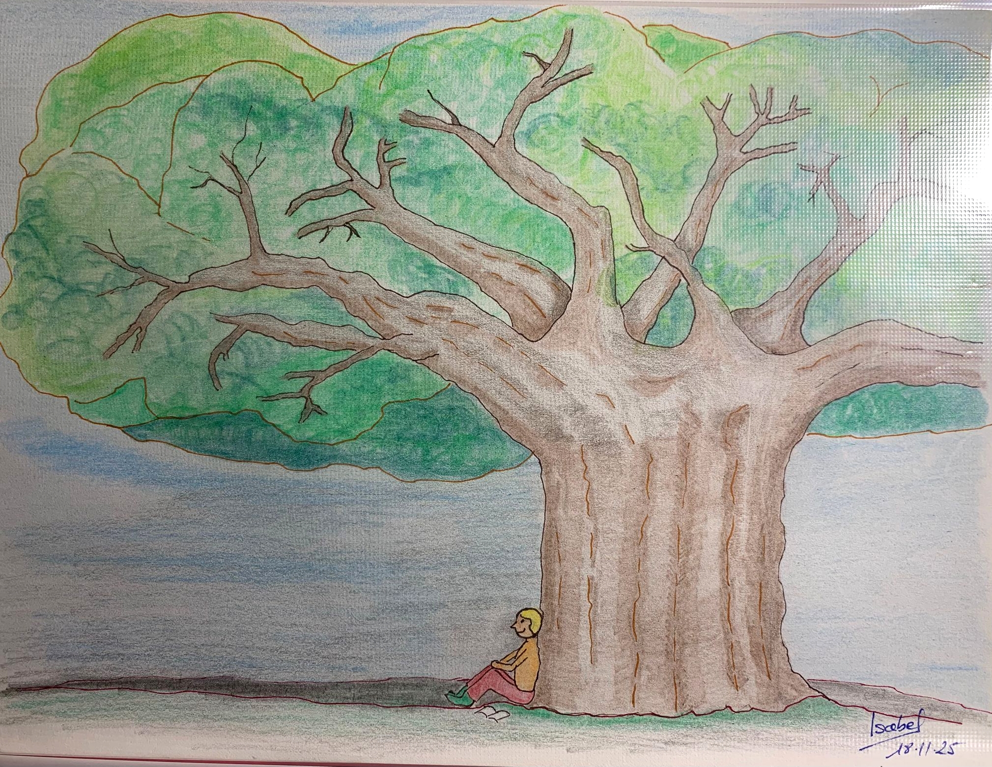 � Isabel Rodriguez 2026