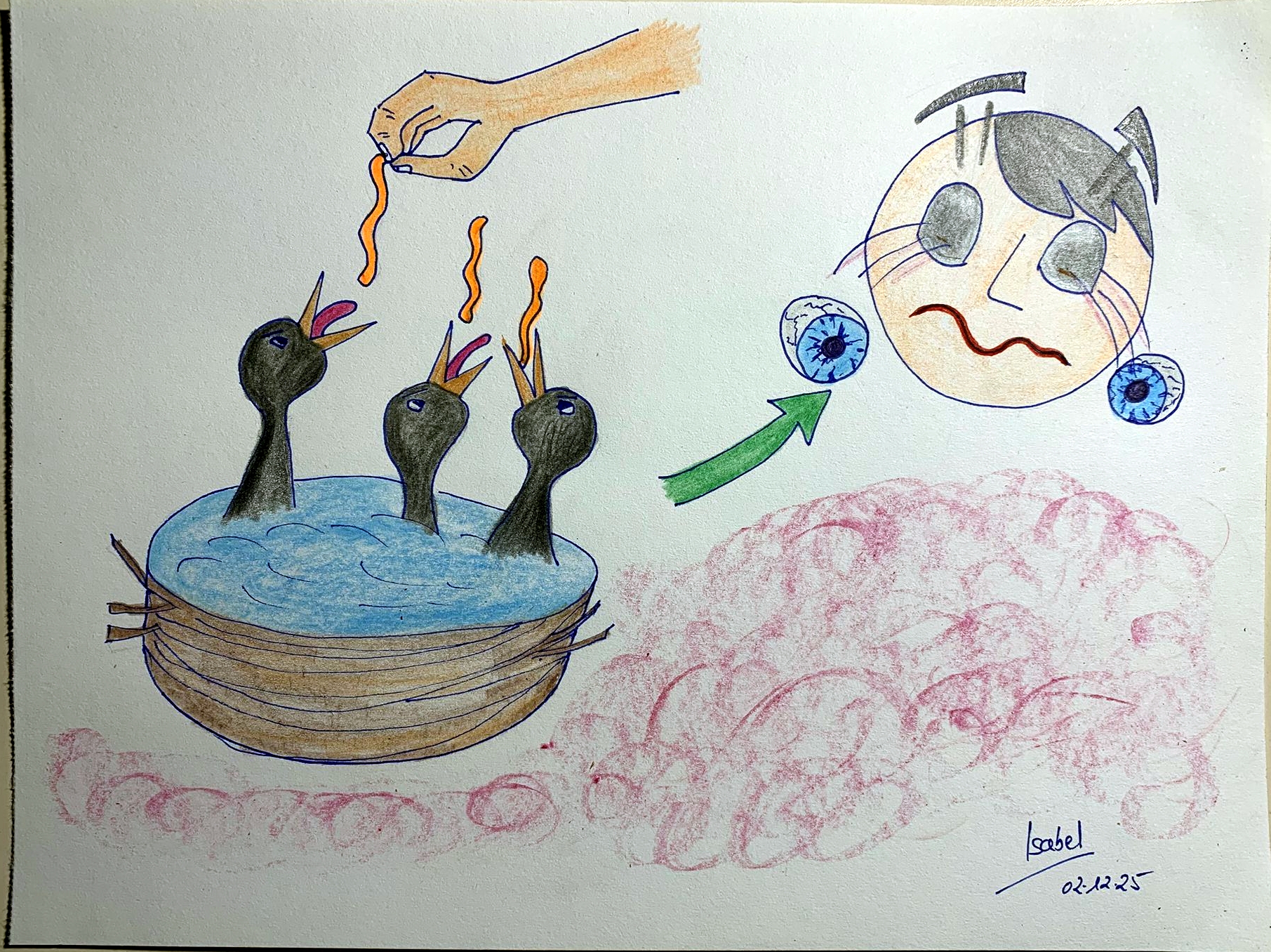 � Isabel Rodriguez 2026