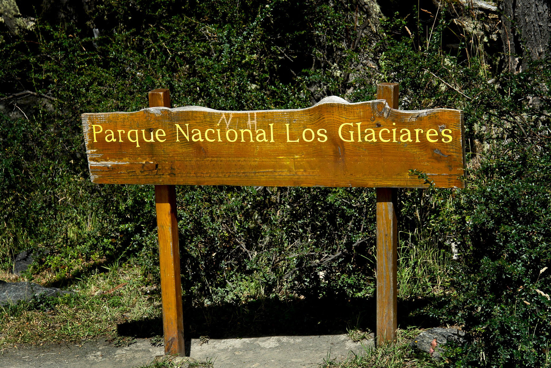 � Jaume Jov� 2026