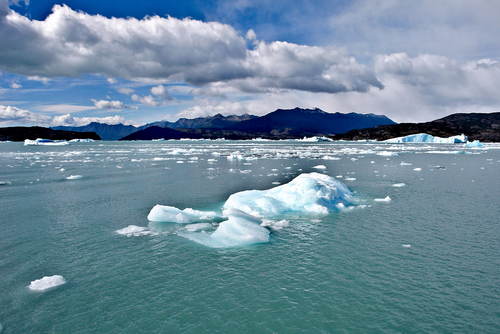 � Jaume Jov� 2026