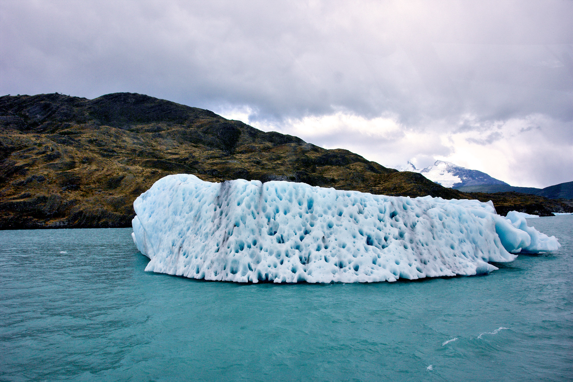 � Jaume Jov� 2026