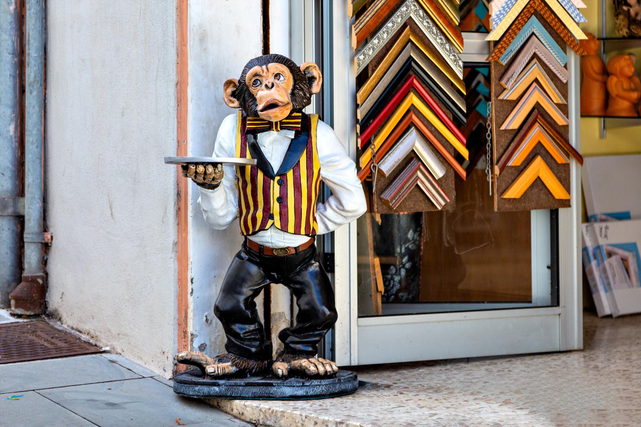 � Jaume Jov� 2026