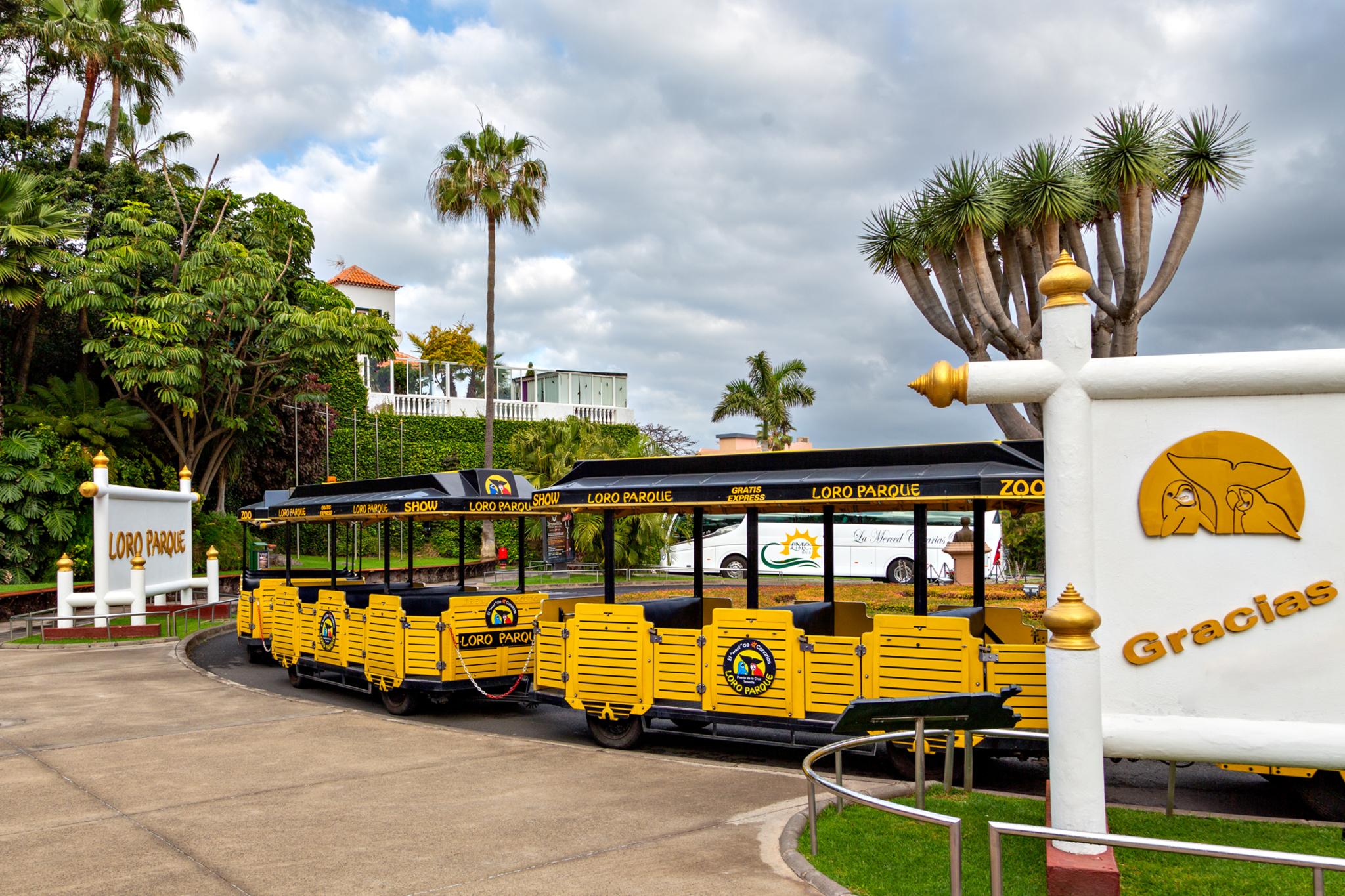 � Jaume Jov� 2026