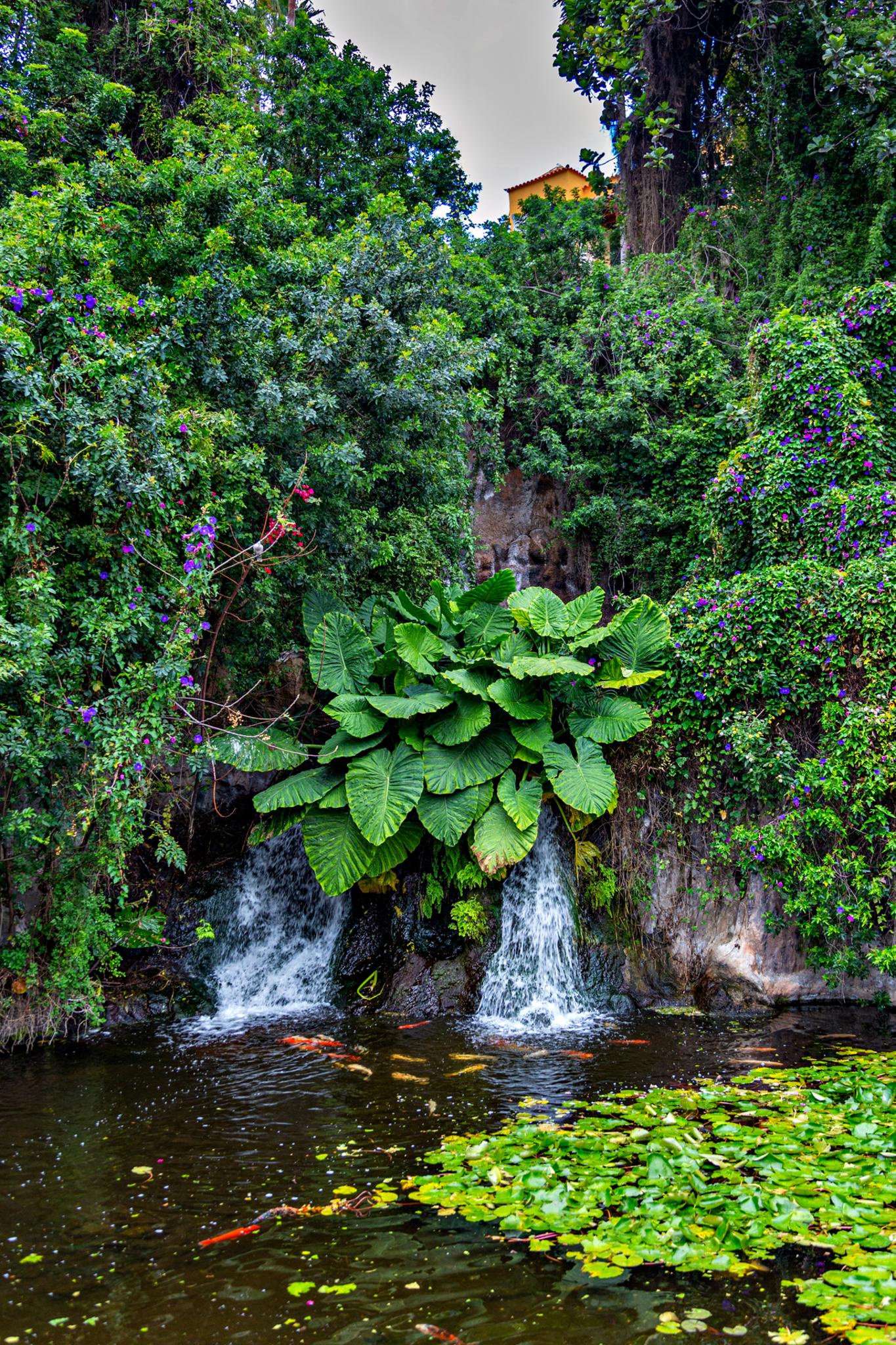 � Jaume Jov� 2026