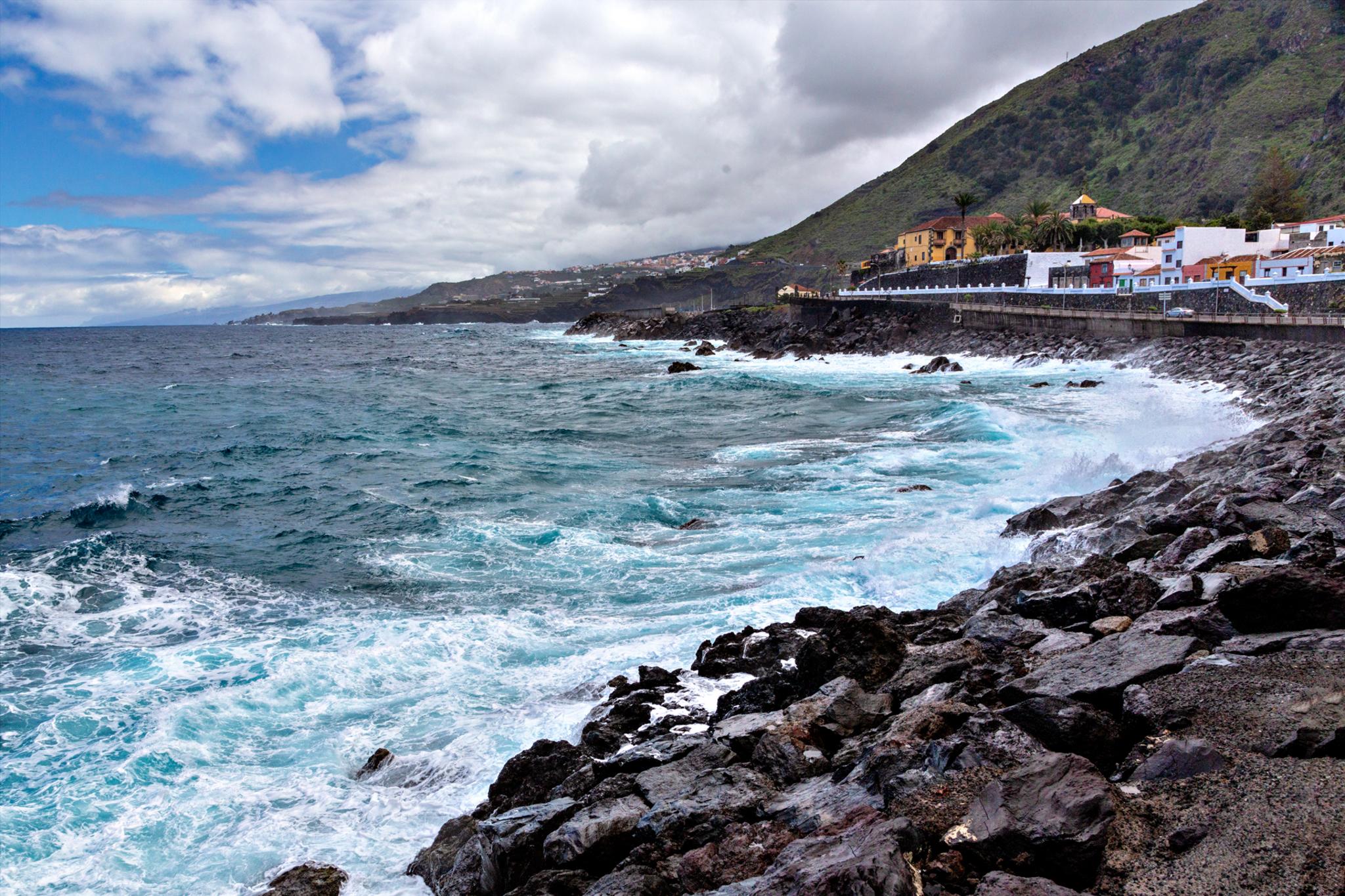 � Jaume Jov� 2026