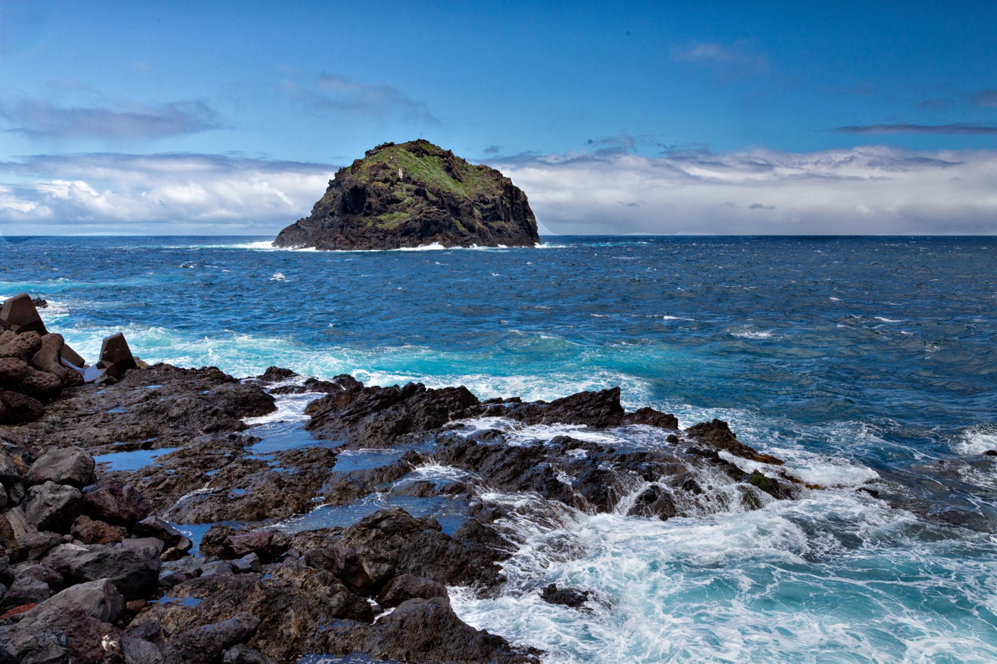 � Jaume Jov� 2026