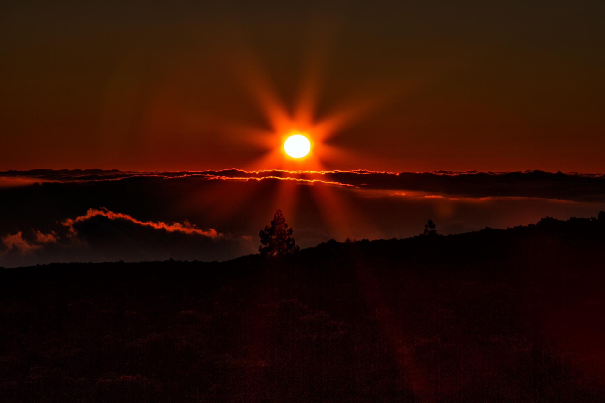 � Jaume Jov� 2026