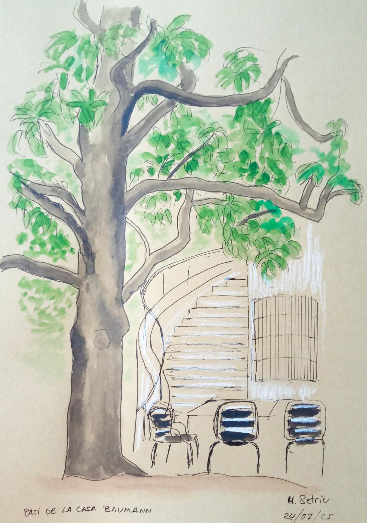 � Jaume Olivet 2025