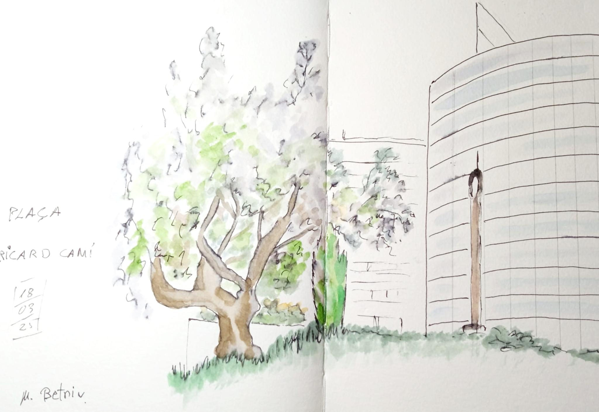 � Jaume Olivet 2025