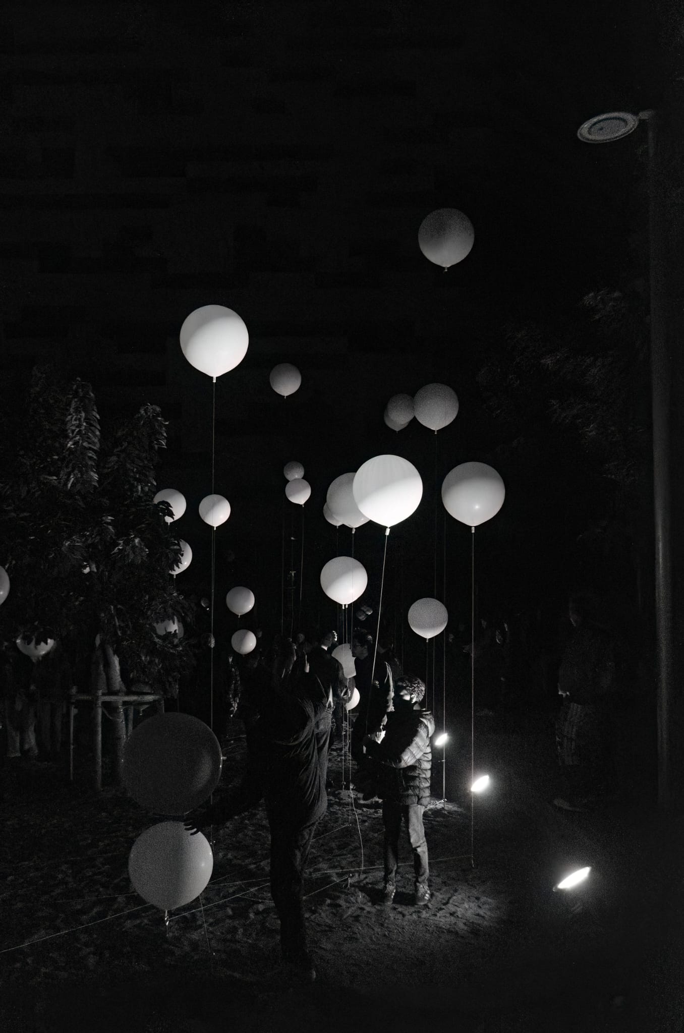 � Valent� Rodenas 2026