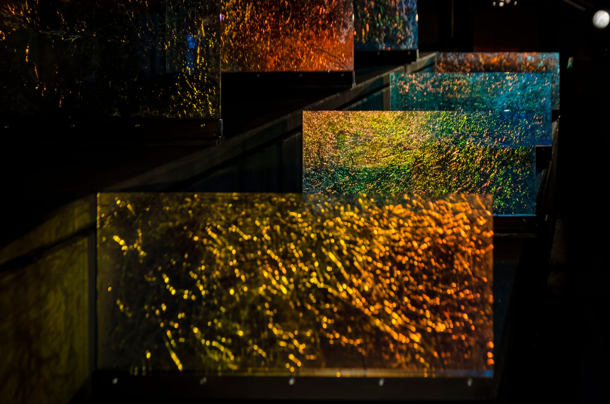 � Valent� Rodenas 2026