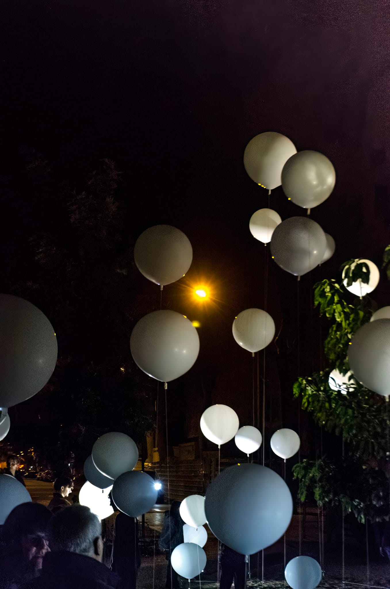 � Valent� Rodenas 2026