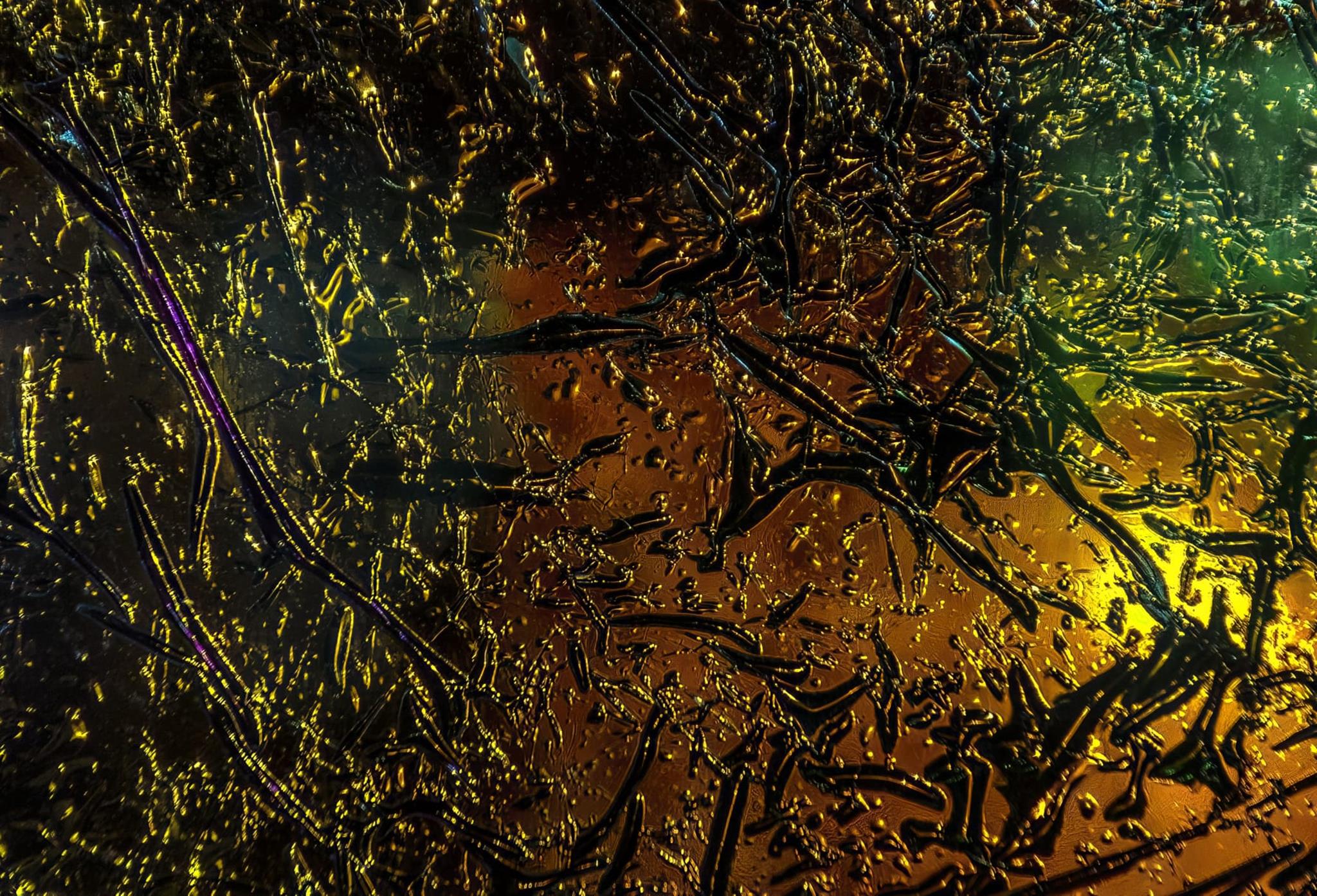 � Valent� Rodenas 2026