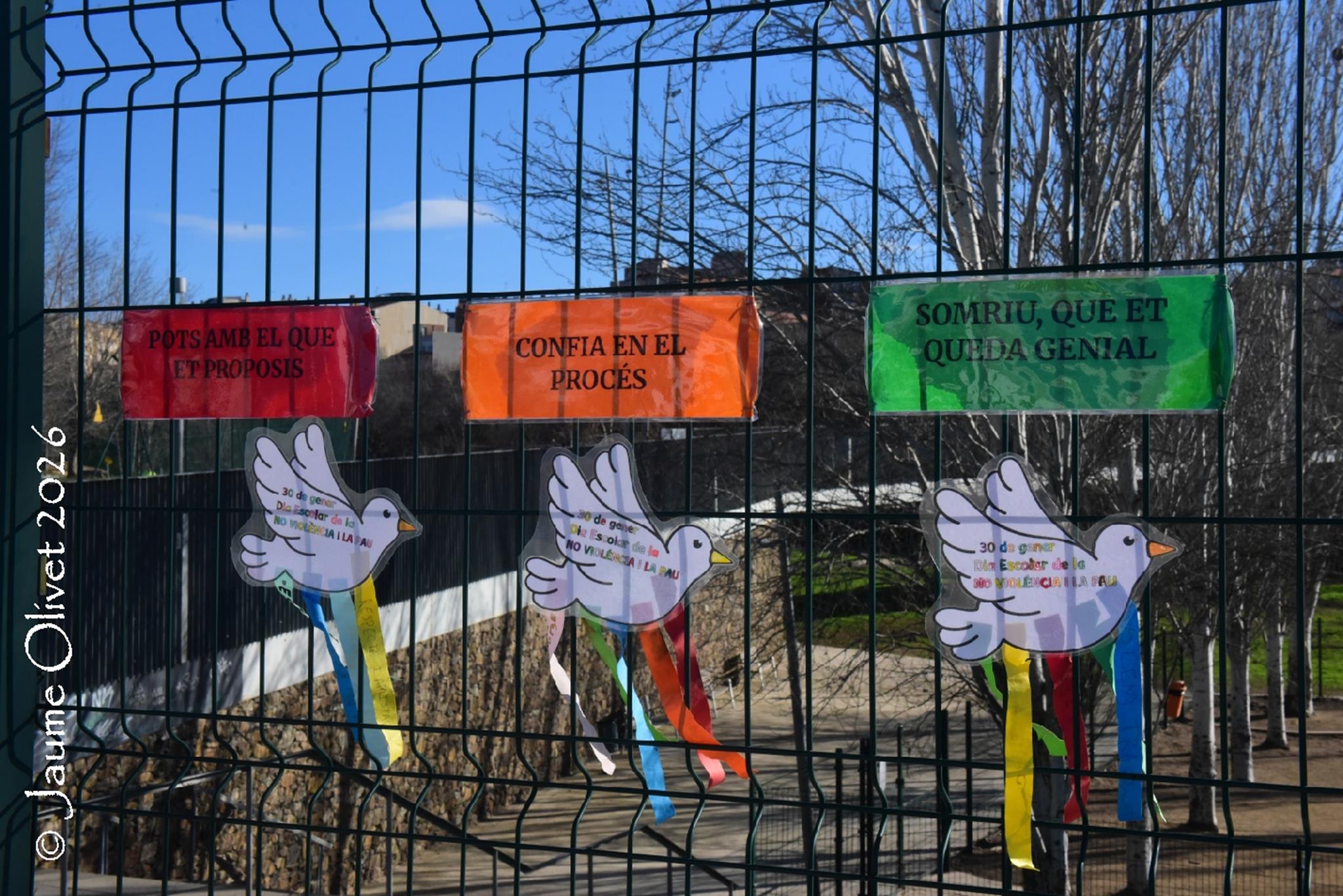 � Jaume Olivet 2026