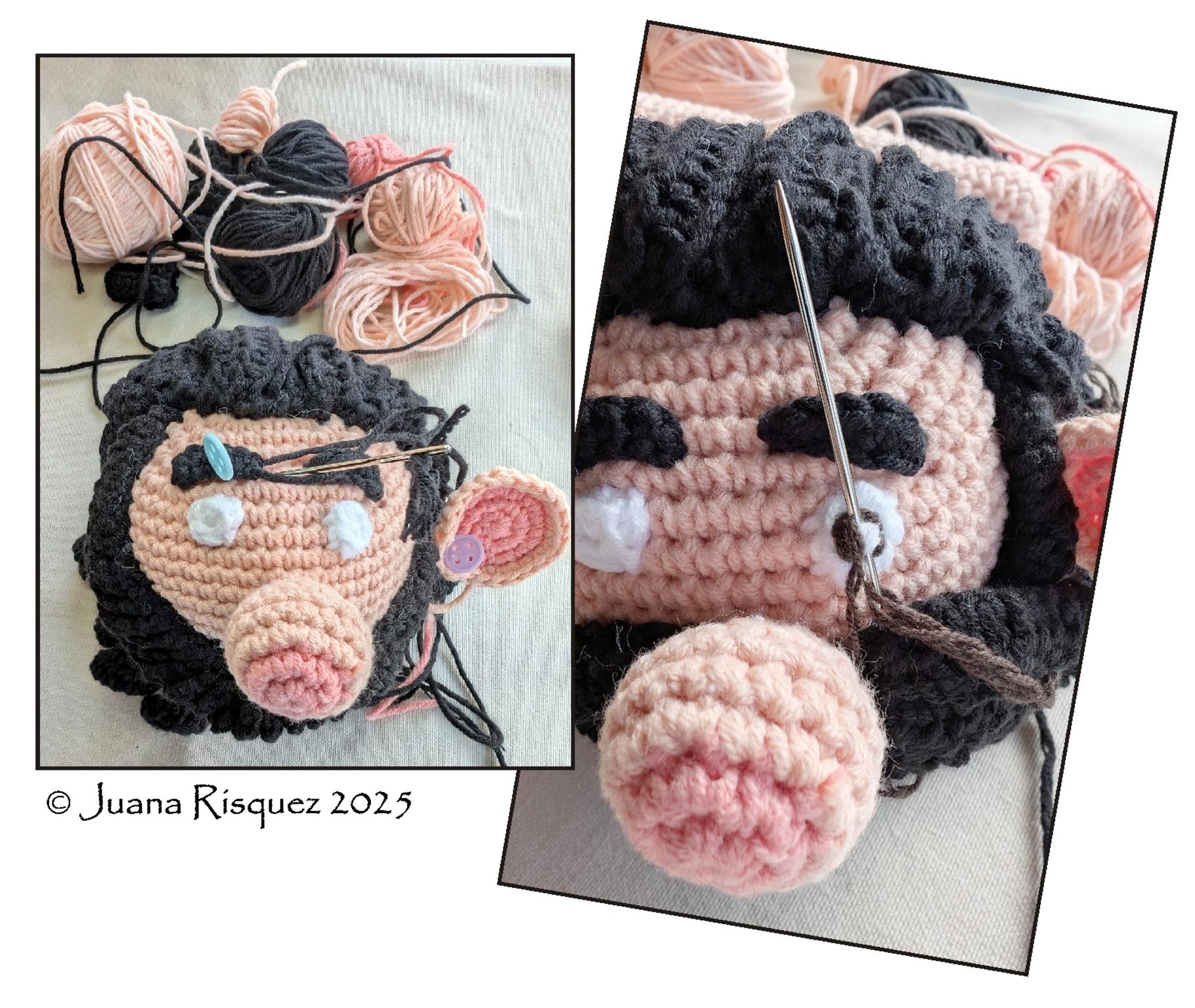 � Juana Risquez 2025