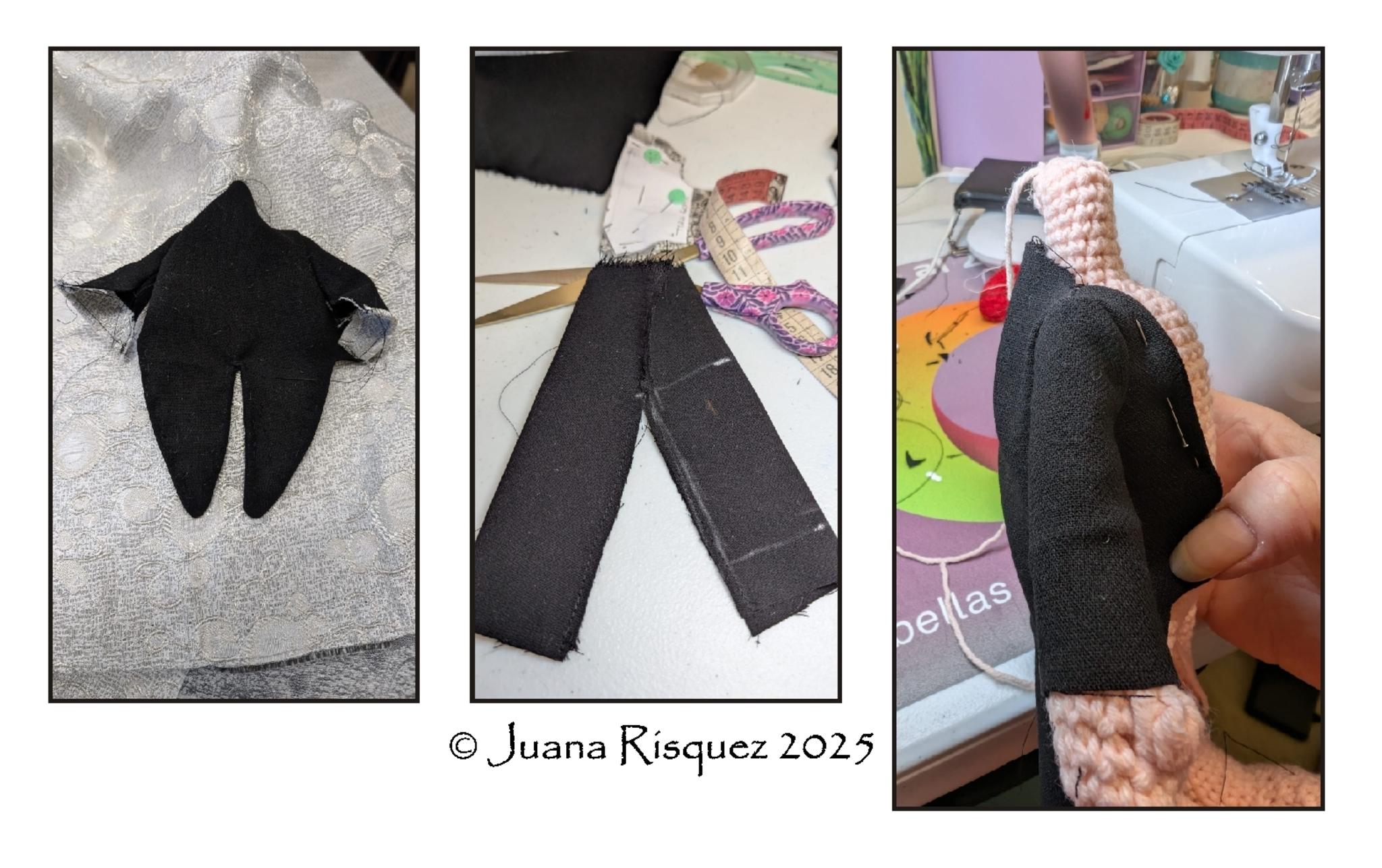 � Juana Risquez 2025