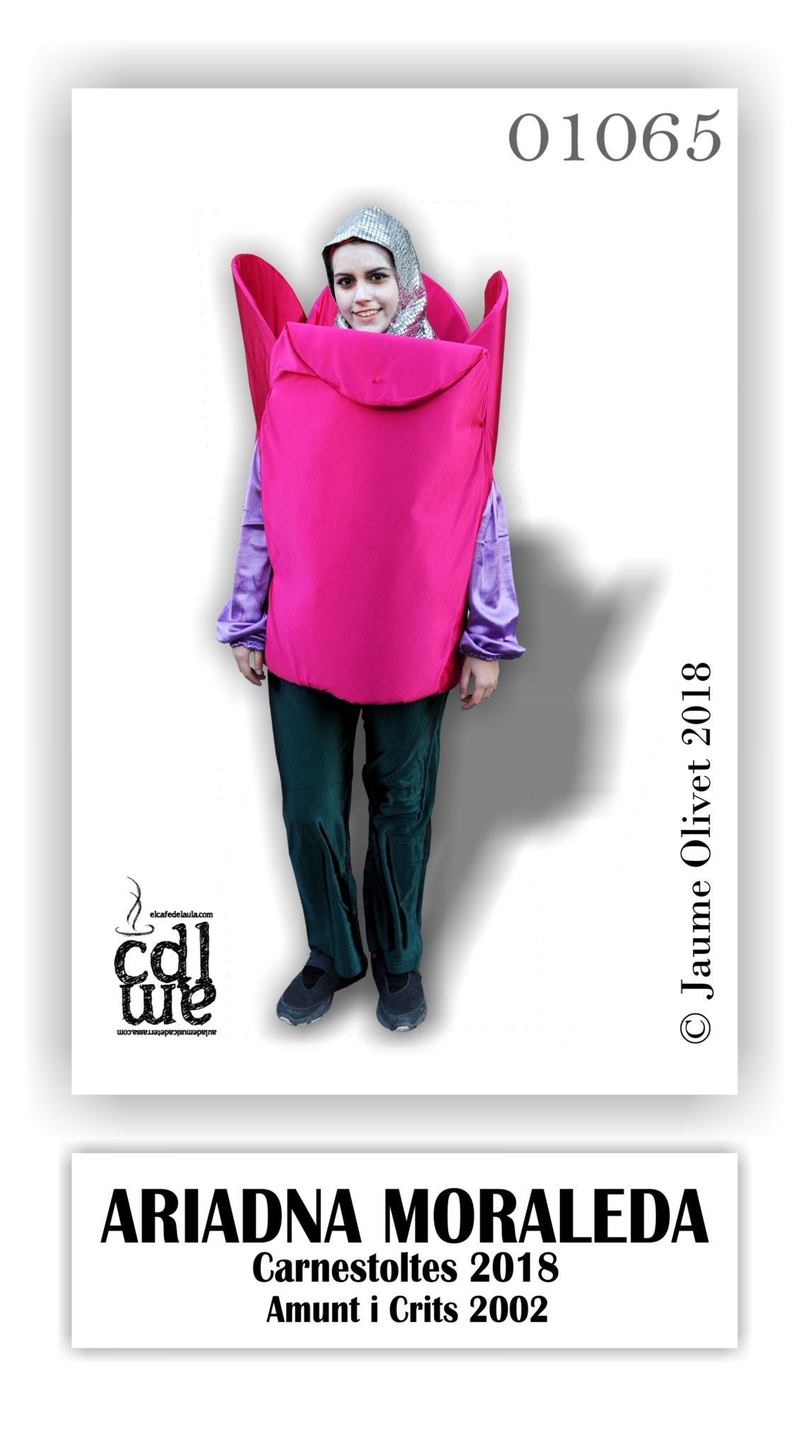  Jaume Olivet 2018